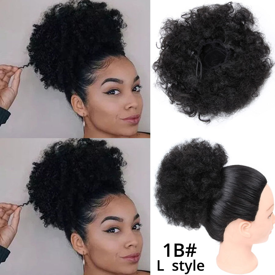 High Puff Ponytail in 2 S