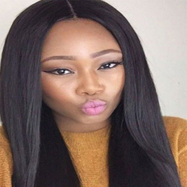 Black Long Straight Hair Wig Cover in Light Brown