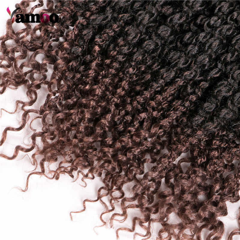 Wig Dirty Braid in 1b 27