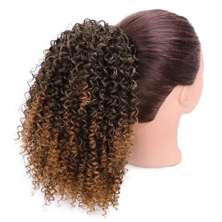Wigs for Ladies with Small Curly Hair