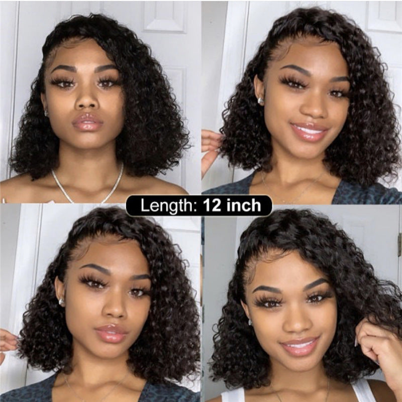 Synthetic Lace Front Wig Africa Small Curly Women's Medium and Long Hair Braided Wigs in Black