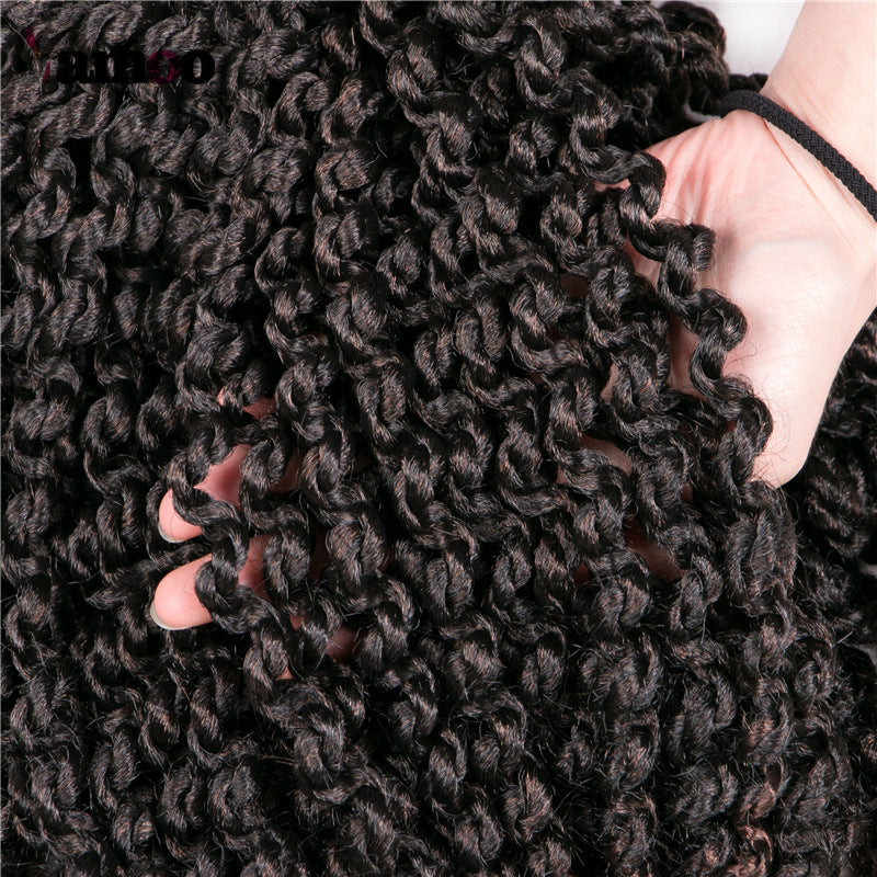 Wig Dirty Braid in 1b bug