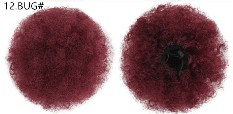 High Puff Ponytail in 1bt30