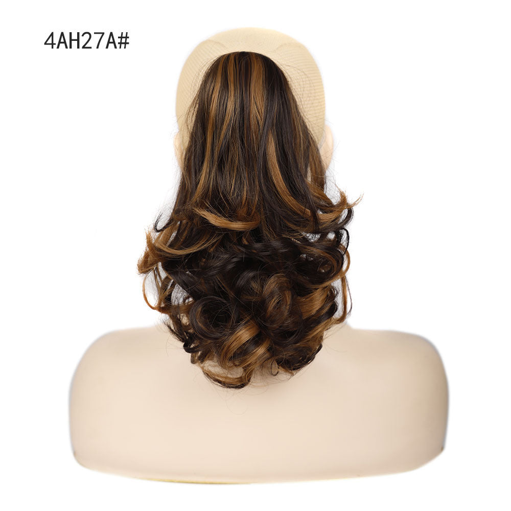 Style Wig Women's Short Hair Ponytail in 22H24