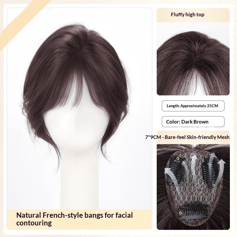 Lightweight Volumizing Faux Bangs and Hairpiece for a Fuller Look